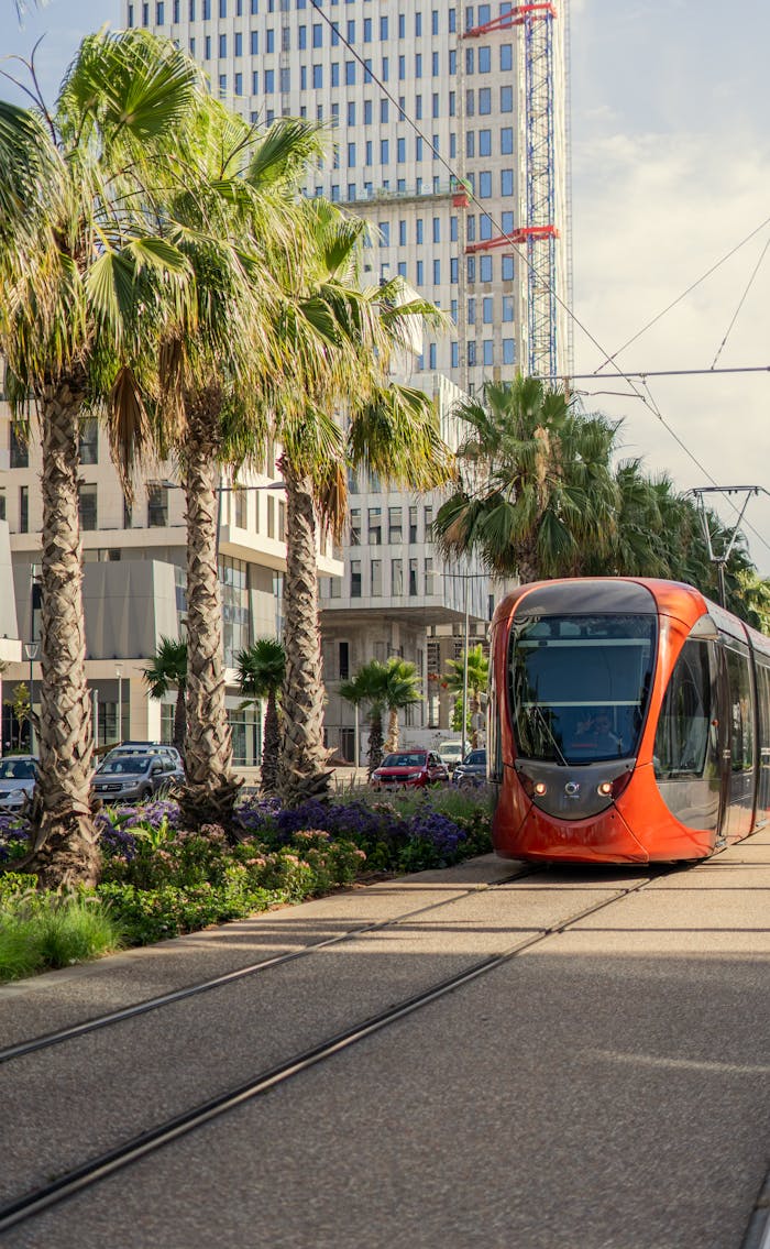 gallery-4 Red tramway in sunny Casablanca street, with palm trees and modern architecture.